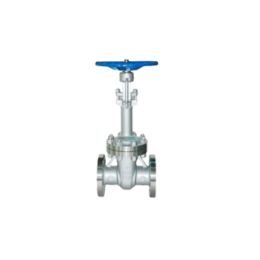 Cryogenic Valve Manufacturer in India
