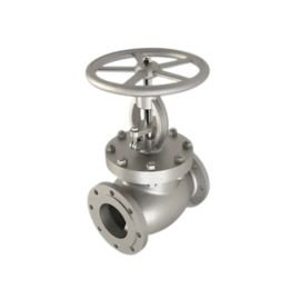 Globe Valve Manufacturer in India
